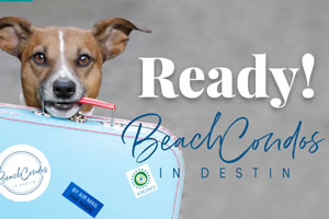 Beach Condos in Destin  Pet Friendly Rentals